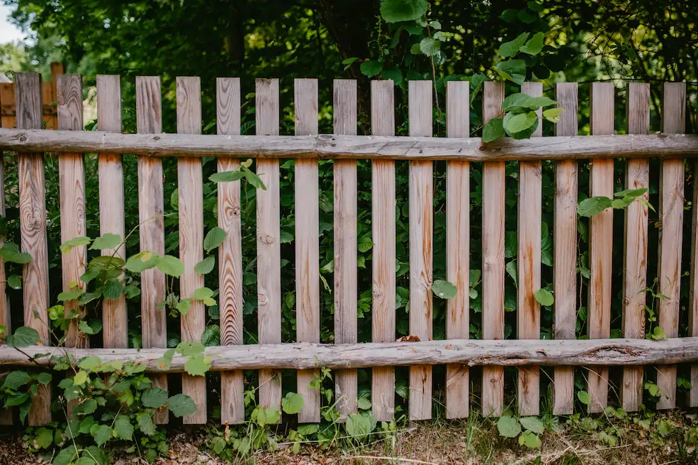 Fence Removal