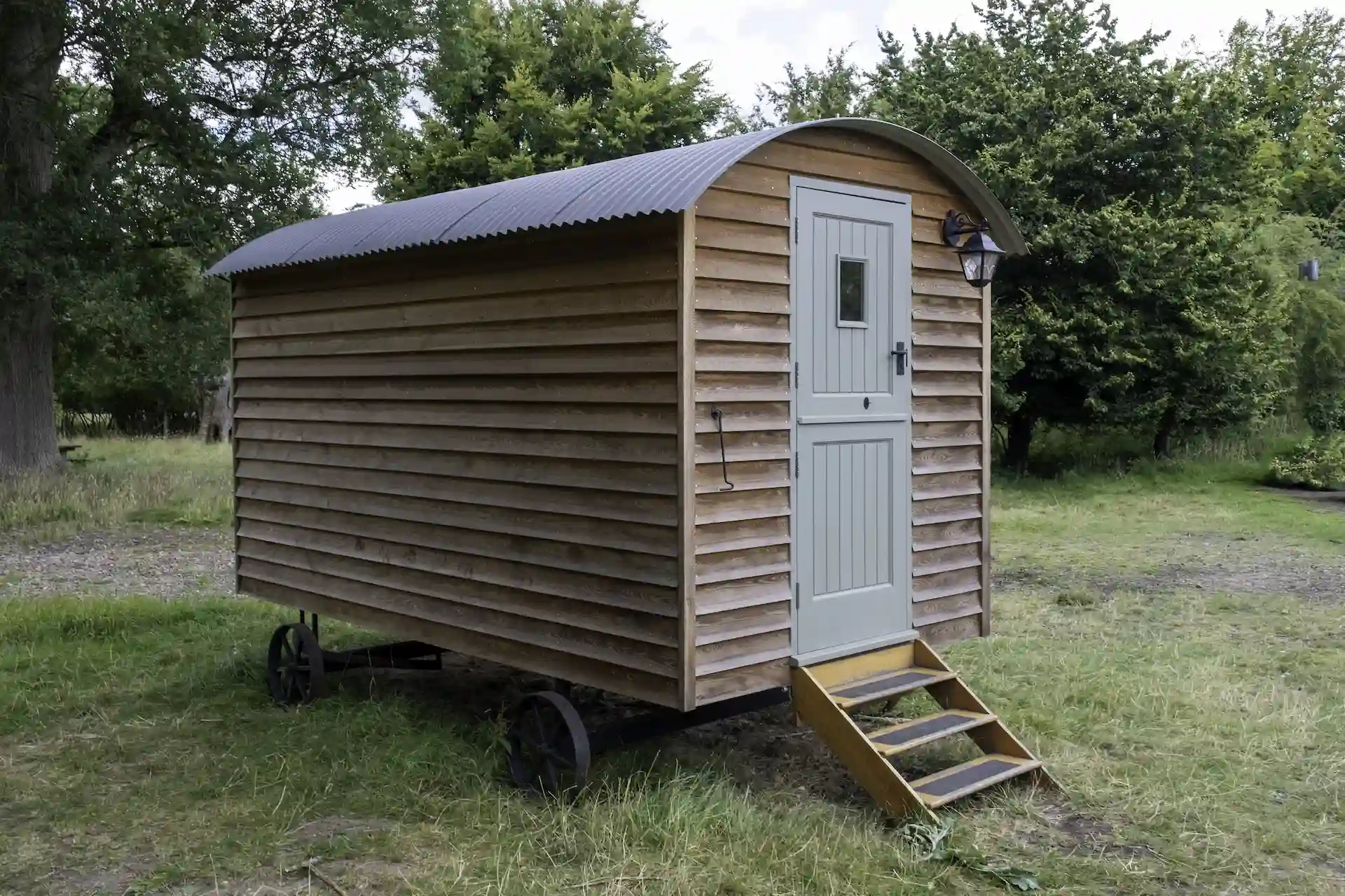 Shed Removal